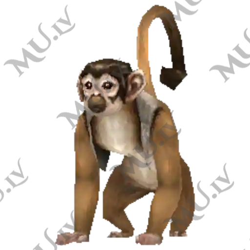 White Monkey
